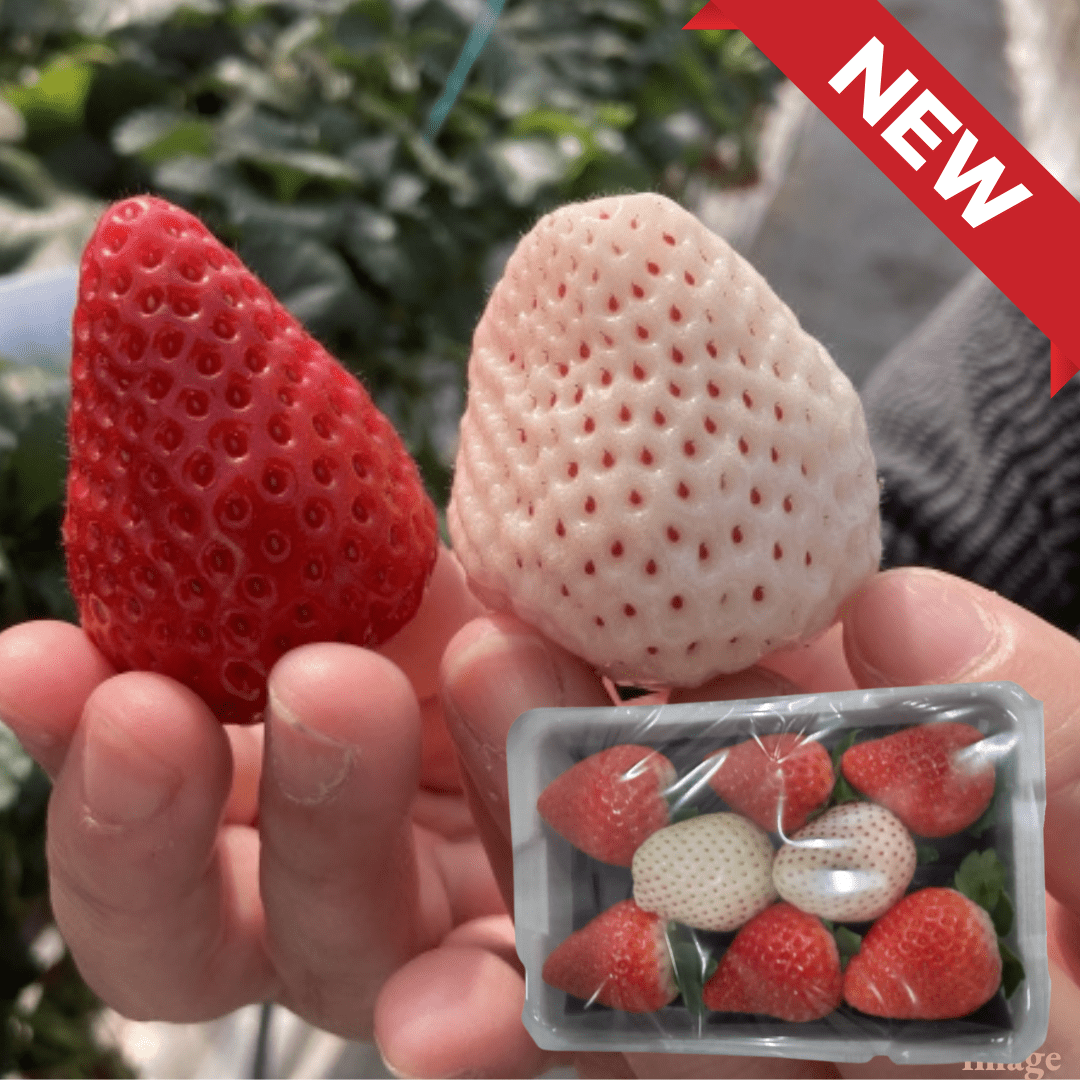 "Red & White Strawberries(High Grade/Mini size)", Skyberry & Milkyberry, Approx.180g(1pack) | Delivery: 30th - 31th Jan - Tokyo Fresh Direct