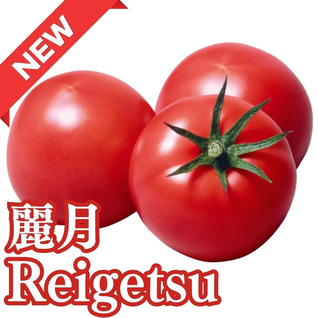 "Reigetsu(2kg/4kg box)”, large ripe tomatos with strong flavor from Nagano [Delivery between 7th~8th Mar] - Nagano Fair 2025 - Tokyo Fresh Direct