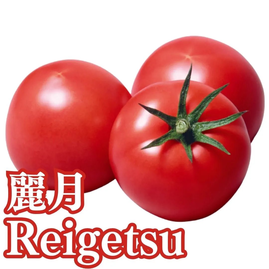 "Reigetsu(2kg/4kg box)”, large ripe tomatos with strong flavor from Nagano [Delivery between 7th~8th Mar] - Nagano Fair 2025 - Tokyo Fresh Direct