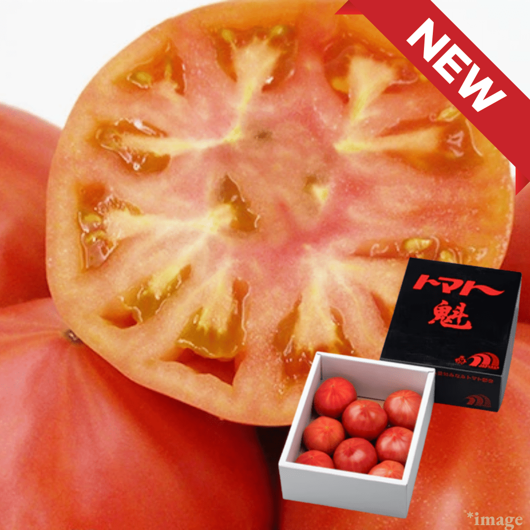 "Sakigake First Tomato (Fruits Tomato/Brix 8°+), Fresh - start flavor—light, crisp, and “just - harvested” bright., Approx.1kg Box | Delivery: 6th - 7th Mar - TFD (Tokyo Fresh Direct)
