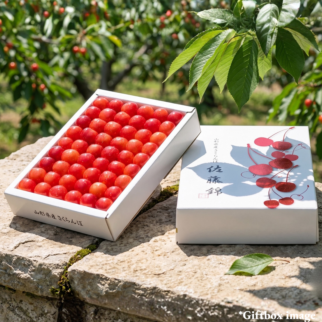 "Sato - Nishiki(Top Grade/Giftbox)", The King of Cherries, Grown in Yamagata, Japan’s Premier Cherry - Producing Region, Approx.300g | Delivery: 29th - 30th May [Limited 20 Availability] - TFD (Tokyo Fresh Direct)