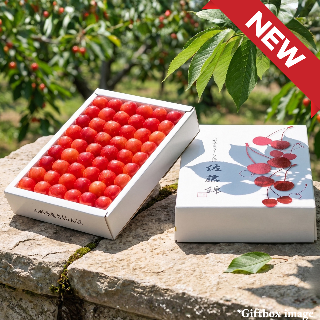 "Sato - Nishiki(Top Grade/Giftbox)", The King of Cherries, Grown in Yamagata, Japan’s Premier Cherry - Producing Region, Approx.300g | Delivery: 29th - 30th May [Limited 20 Availability] - TFD (Tokyo Fresh Direct)