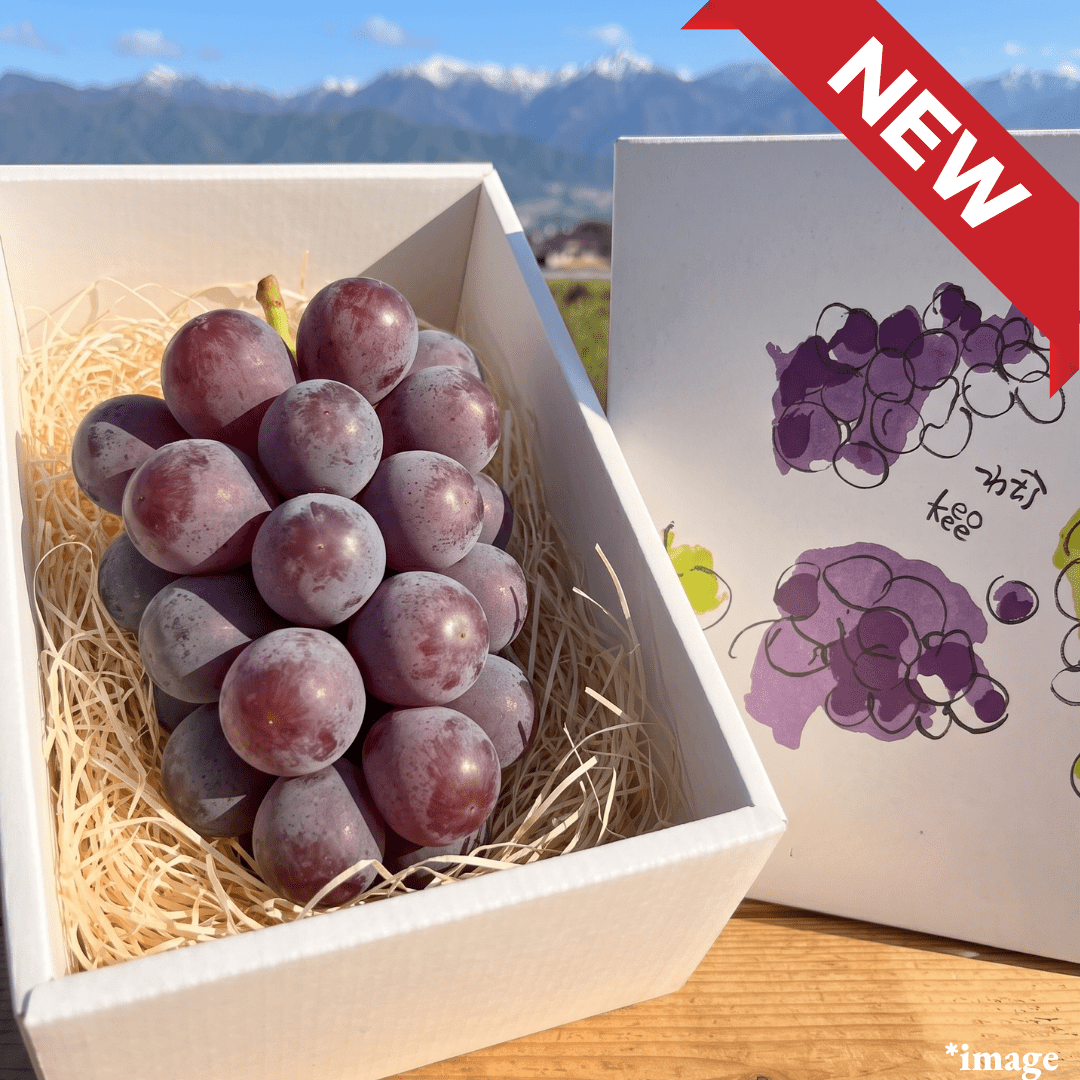 "Seedless Kyoho (Giftbox/4L-size/High Grade)", The king of grapes, Approx.600g | Delivery: 14th~22th Aug - TFD (Tokyo Fresh Direct)