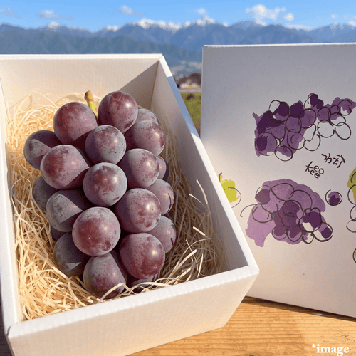 "Seedless Kyoho (Giftbox/4L-size/High Grade)", The king of grapes, Approx.600g | Delivery: 28th Aug ~5th Sep
