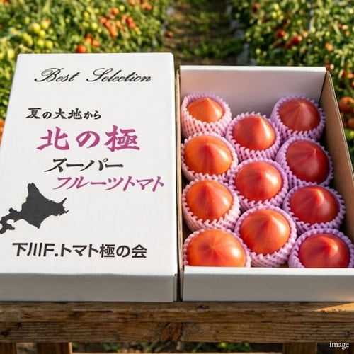 Shimokawa Super Tomato (Hokkaido) – Premium Fruit Tomato 800g | Brix 10°+ | Rich Sweetness & Full Flavor