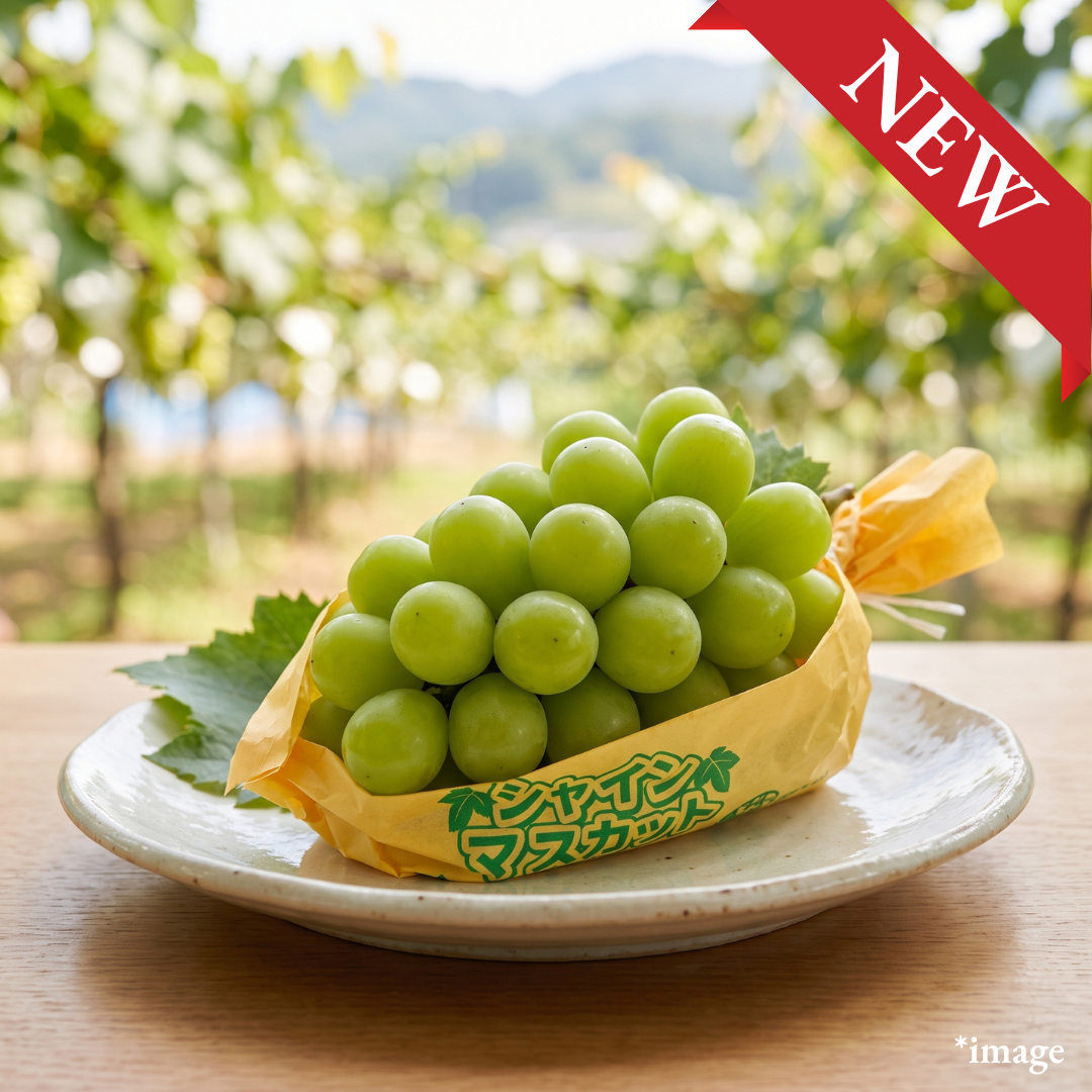 "Shine Muscat (3L-size/High Grade), Approx.500g, [Nagano Fair 2026] | Delivery: 18th-19th Sep - TFD (Tokyo Fresh Direct)