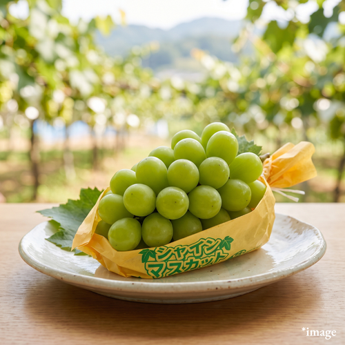 "Shine Muscat (3L-size/High Grade), Approx.500g, [Nagano Fair 2026] | Delivery: 2nd~3rd Oct