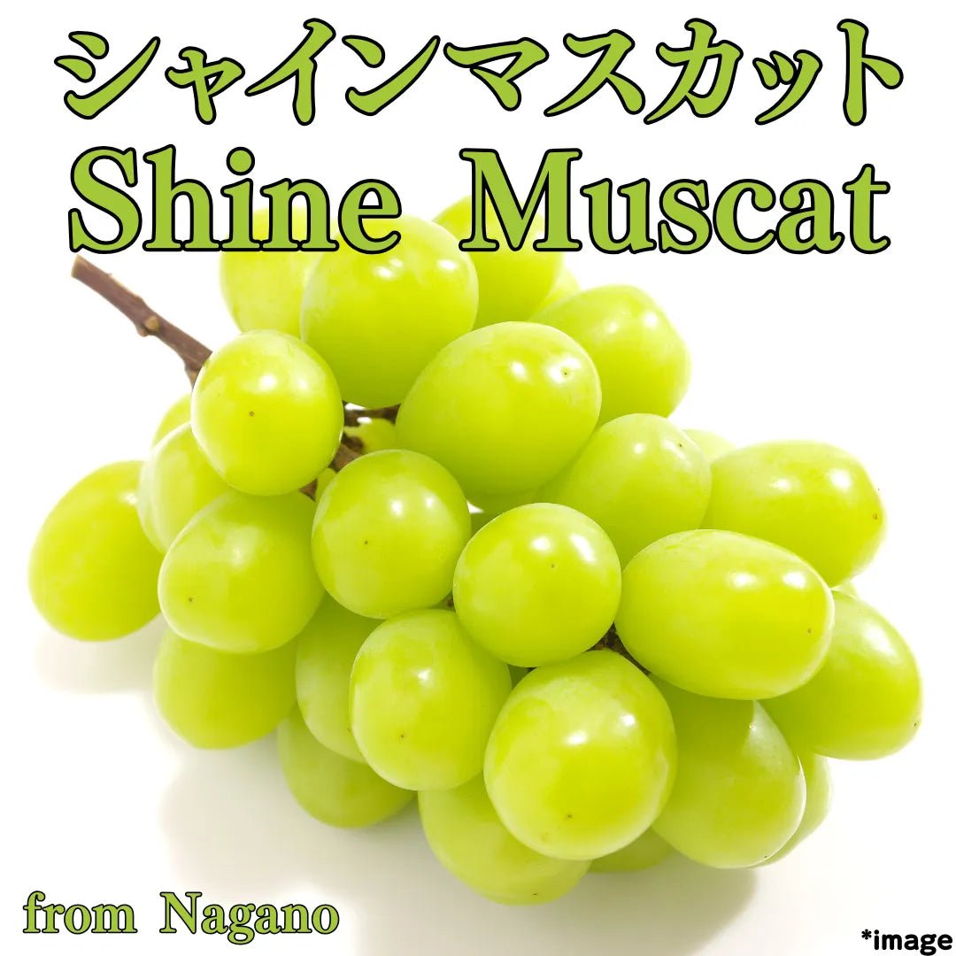 "Shine Muscat (High Grade)" approx.600g, from Nagano [Delivery between 22th~23th Nov] - Tokyo Fresh Direct