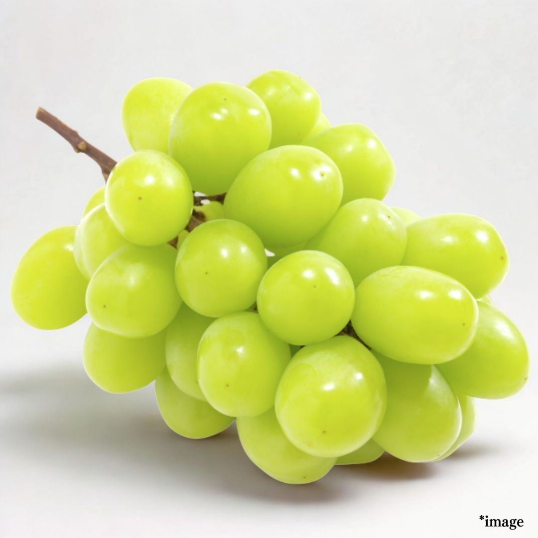 "Shine Muscat (High Grade)" from Nagano, approx.500g pack | Delivery: 1st~2nd Aug - Tokyo Fresh Direct