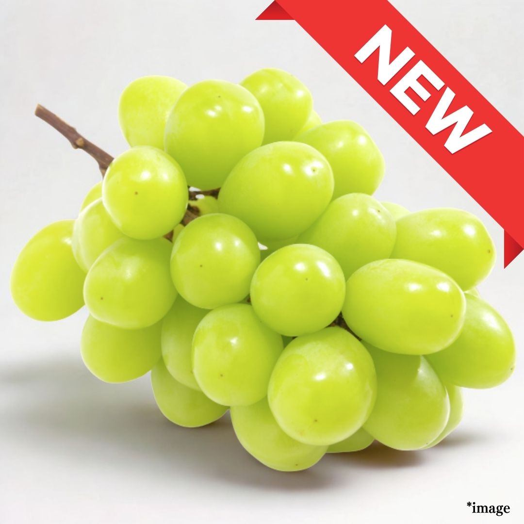 "Shine Muscat (High Grade)" from Nagano, approx.500g pack | Delivery: 1st~2nd Aug - Tokyo Fresh Direct
