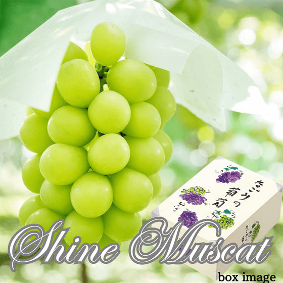 "Shine Muscat (Top Grade) Gift Box" | Delivery: 27th~28th June - Tokyo Fresh Direct
