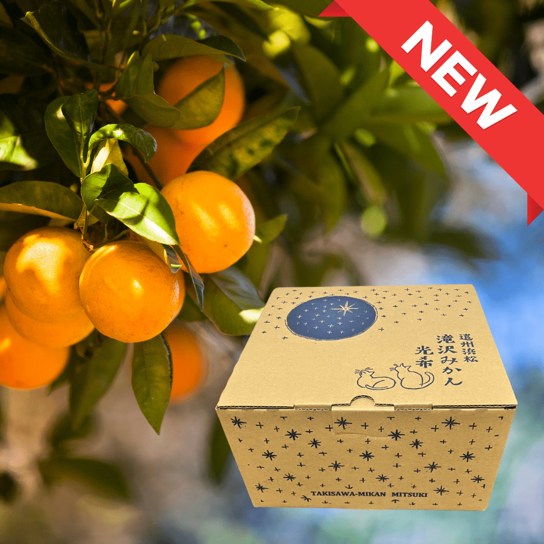 Shizuoka Mikan MITSUKI Nozomi Classic Taguchi Wase 2kg Gift Box | Delivery: 28th NOV - 6th Dec - Tokyo Fresh Direct