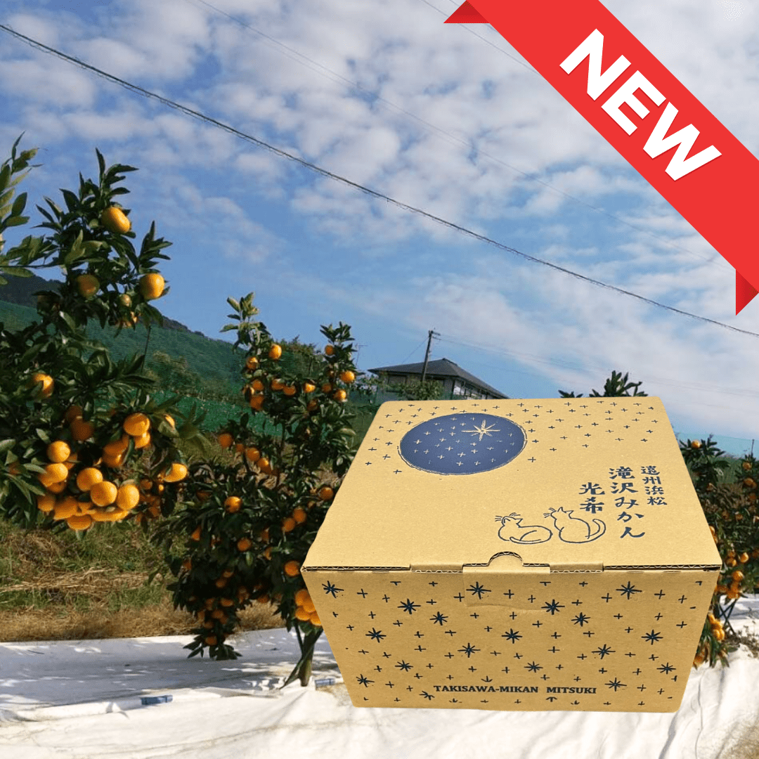 Shizuoka Mikan MITSUKI Nozomi Classic Taguchi Wase 2kg Gift Box | Delivery: 28th NOV - 6th Dec - Tokyo Fresh Direct
