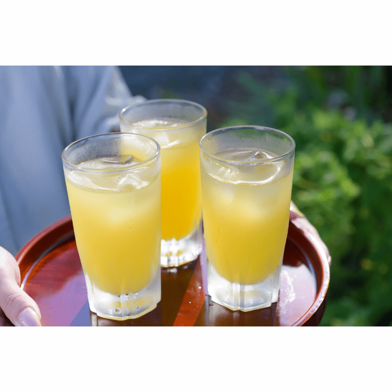 Shizuoka Sun Ripened Amanatsu Citrus Syrup 110g - Tokyo Fresh Direct