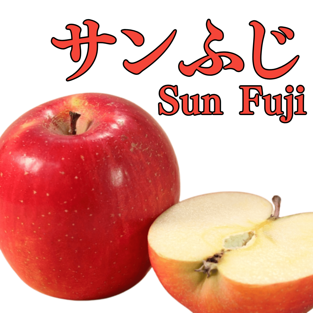 Sun Fuji (High Grade)" approx.500g/2pc, Sweet apples bathed in the sun's rays of Aomori [Delivery between 29th~30th Nov] - Tokyo Fresh Direct