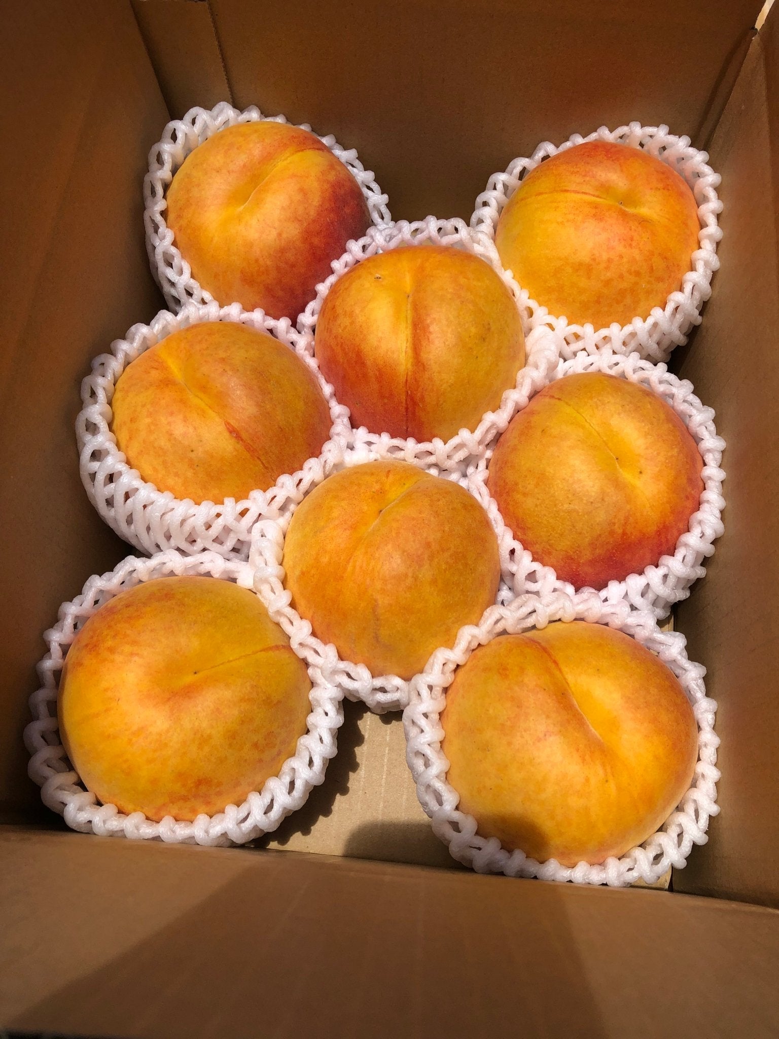"Sweet Rich Wassa Peach (Rare Fruits)", A Rare, Firm-Textured High-Brix Fruit Born from Peach, Nectarine & Golden Peach | Delivery: 7th~8th Aug - TFD (Tokyo Fresh Direct)