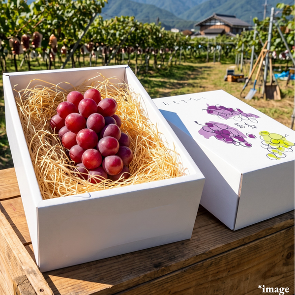 The Crimson King "Queen Rouge (Giftbox/3L-size/High Grade)", Early-Season, Nagano’s Premier Grape Brand, Approx.500g | Delivery: 31th Jul~1st Aug - TFD (Tokyo Fresh Direct)