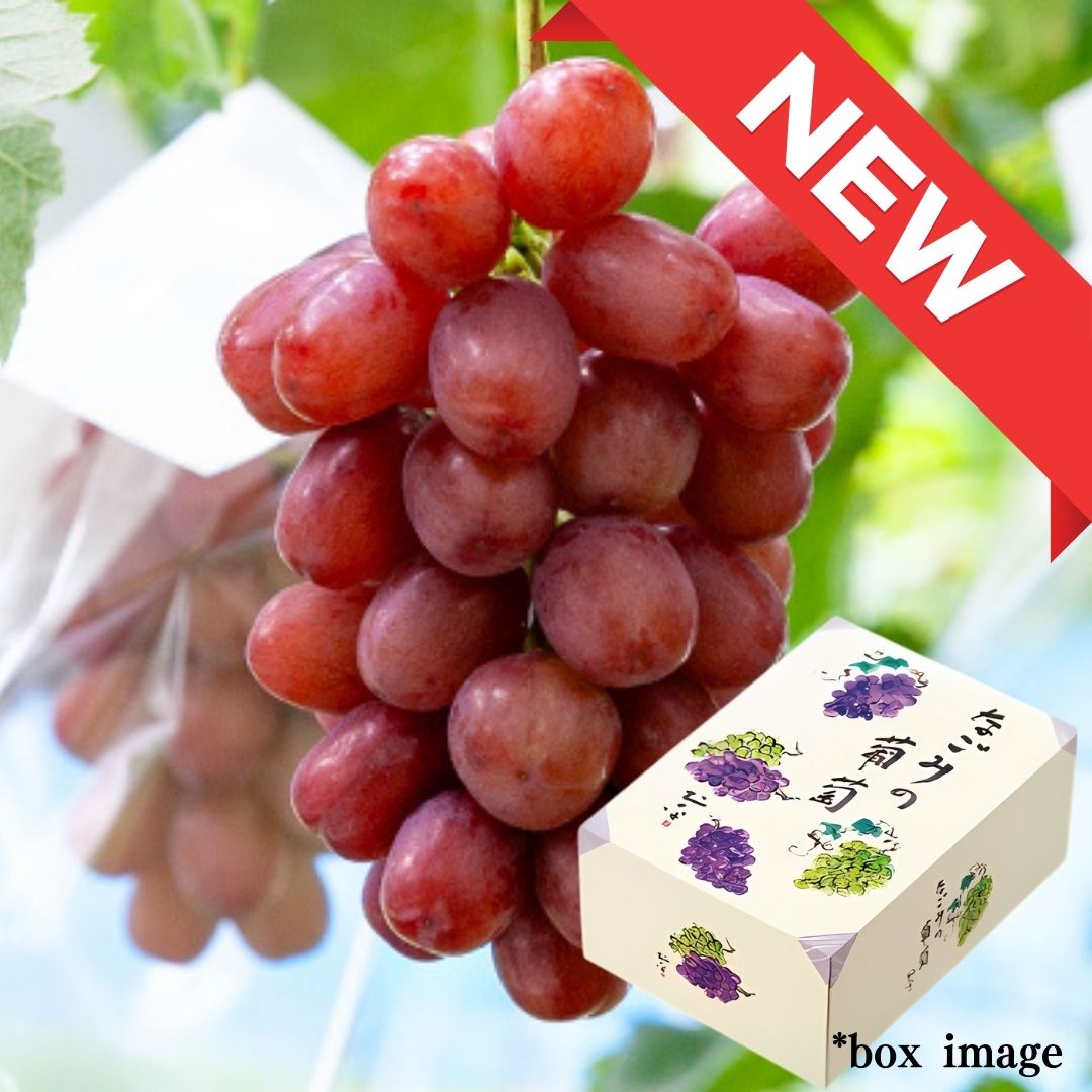 The Crimson King "Queen Rouge (Top Grade) Gift Box", Nagano’s Premier Grape Brand, Gift Box(approx.500g) | Delivery: 5th~6th Sep - Tokyo Fresh Direct