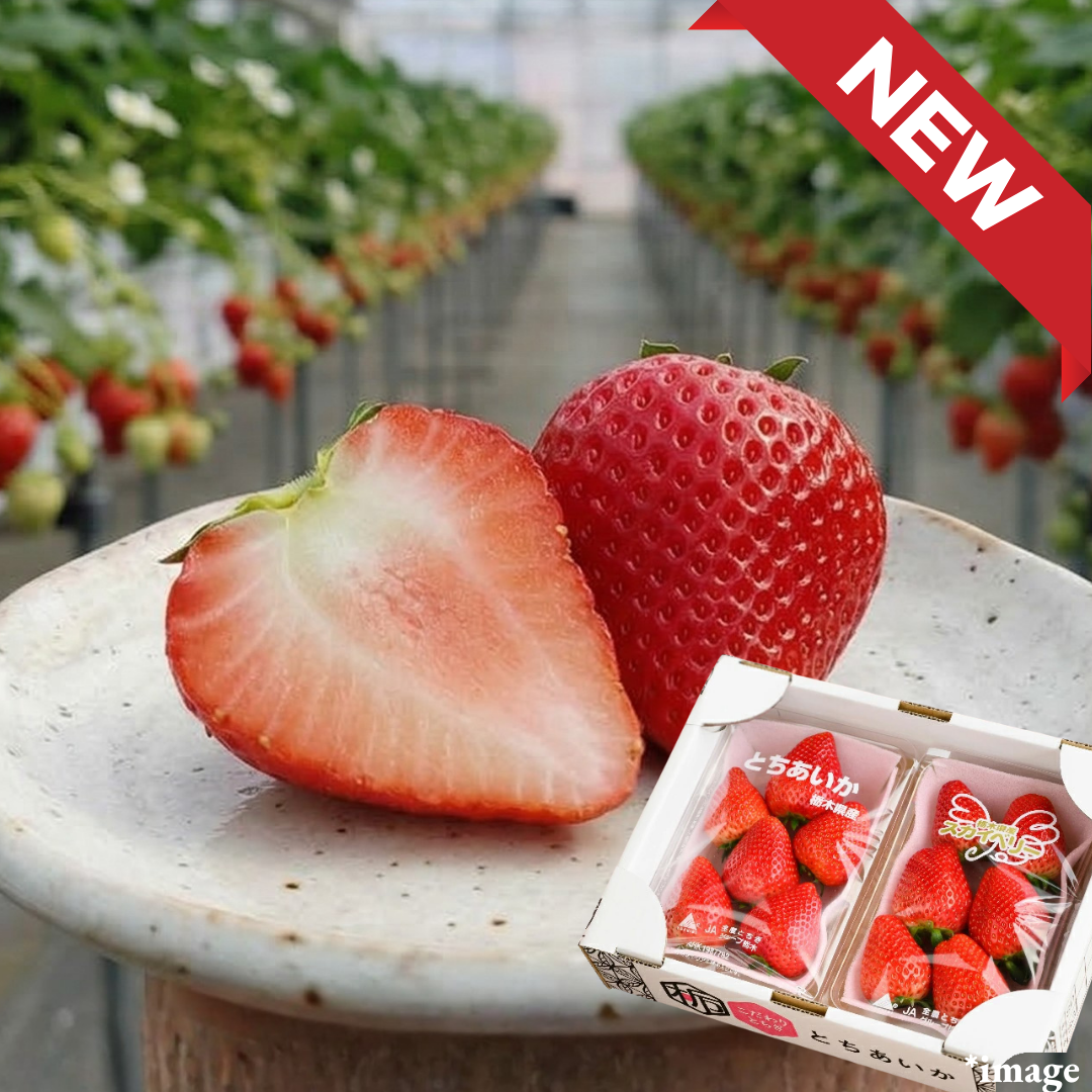 ”Tochiaika (High Grade)”, A beloved strawberry from Tochigi, known for its heart shape and exceptional sweetness, Approx.520g(2packs) | Delivery: 3rd - 4th Apr - TFD (Tokyo Fresh Direct)