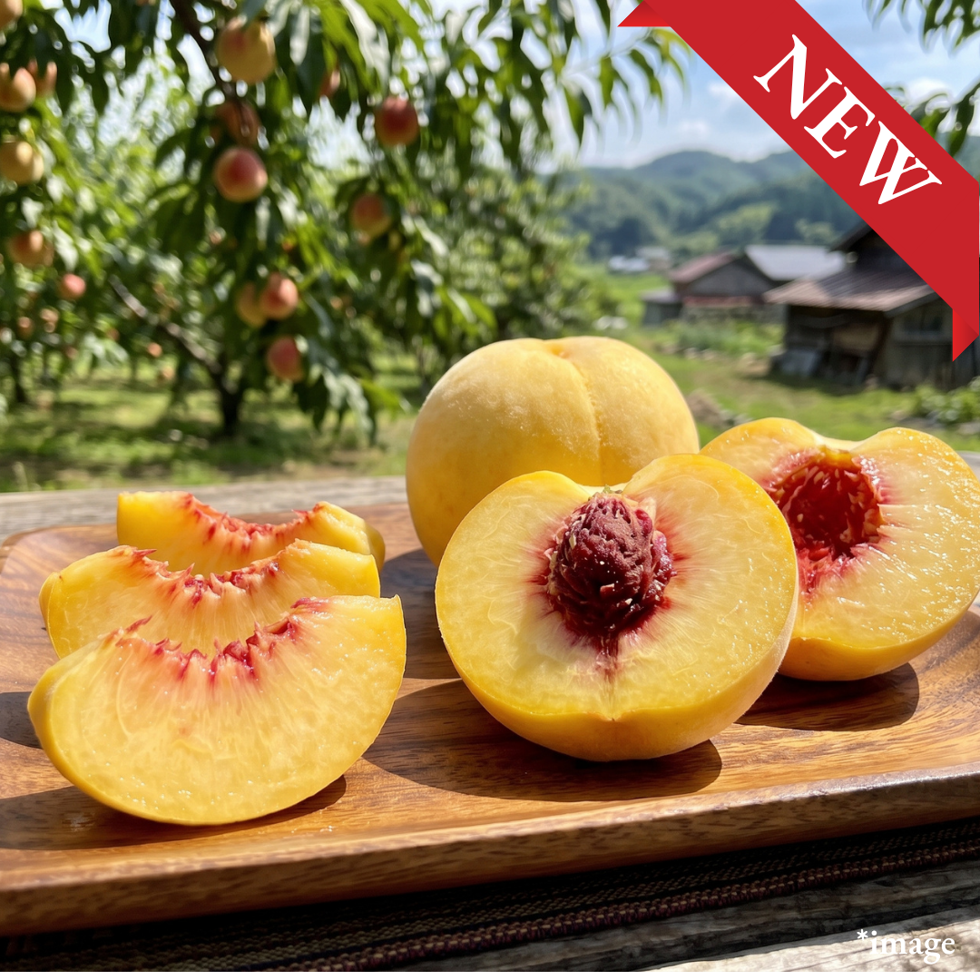 "Tohoku Golden Peach (3L Large-size/High Grade)", Often called the masterpiece of Golden Peach, with a rich, mango-like flavor, Approx.750g+(2pcs) | Delivery: 4th~5th Sep - TFD (Tokyo Fresh Direct)