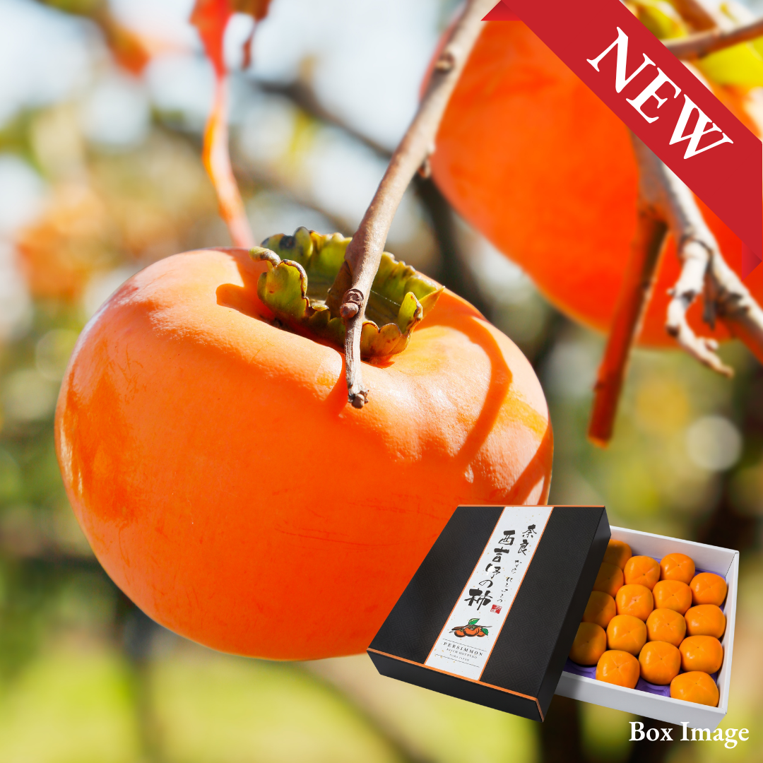 "Toneｗase (Giftbox/2L-size/High Grade)", Nara Seedless Persimmons, from Japan’s Renowned Region | Delivery: 16th~17th Oct - TFD (Tokyo Fresh Direct)