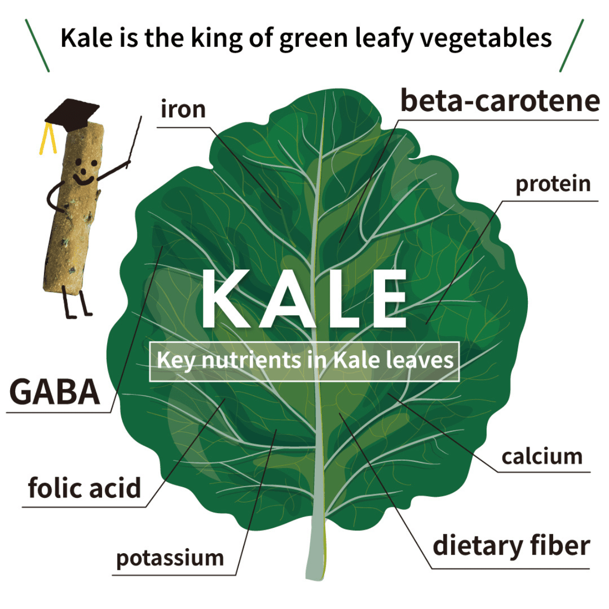 Umami - Rich Kale in Oil - Tokyo Fresh Direct