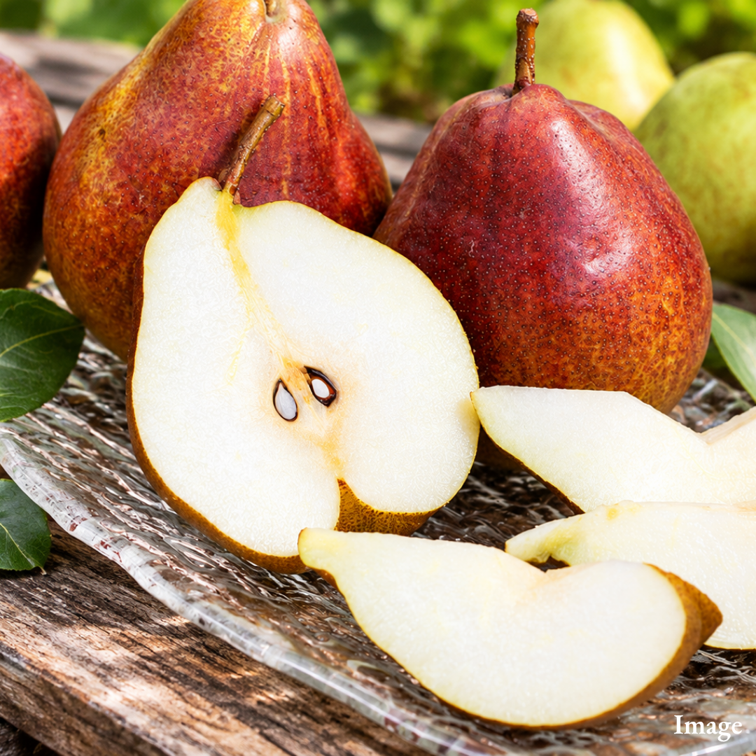 [Valued Members Only] Premium Regal Red Comice Pear from Yamagata 2pcs – A Luxurious Red Pear with Rich Sweetness & Melting Texture - TFD (Tokyo Fresh Direct)