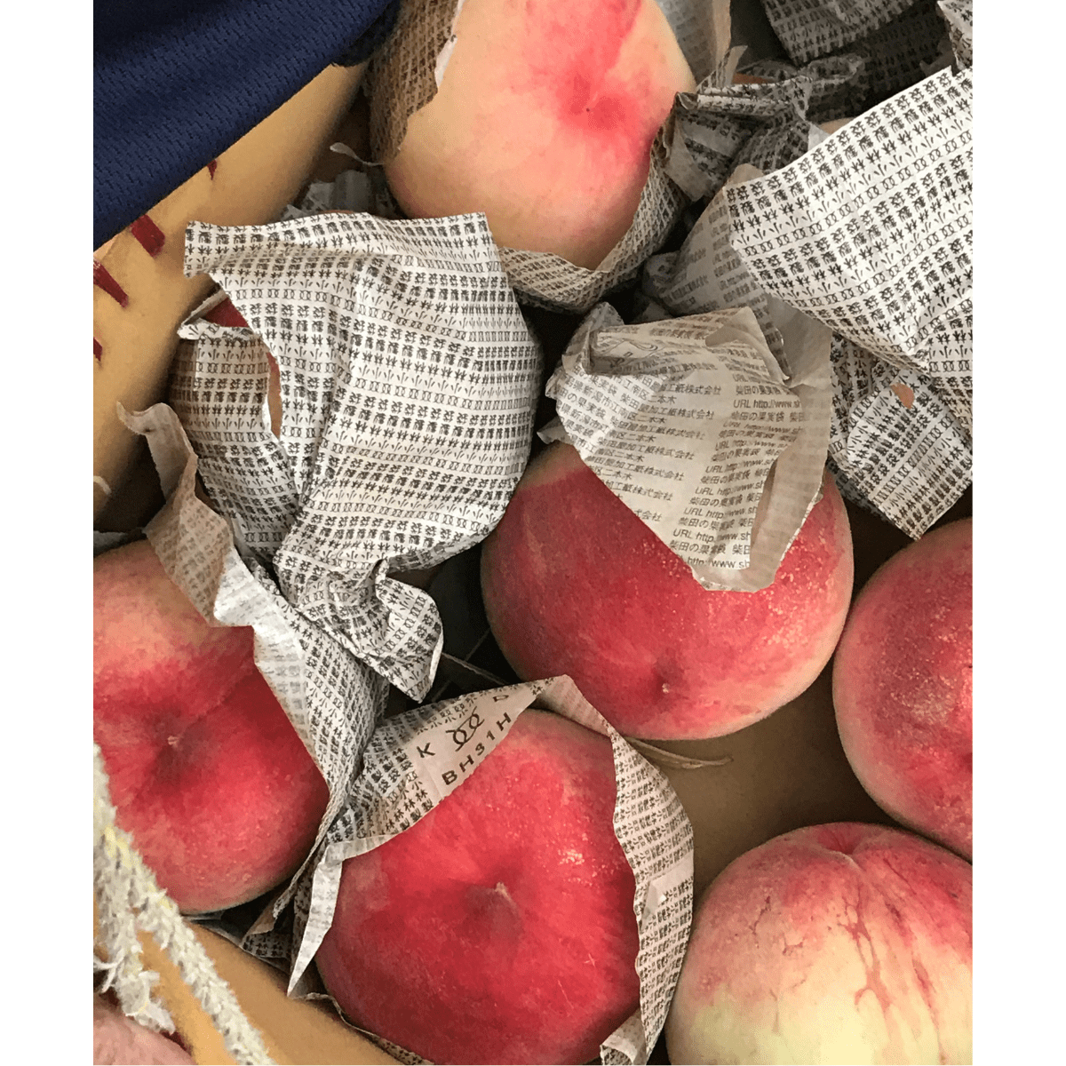 Wakayama Peach Drink 500ml - Tokyo Fresh Direct