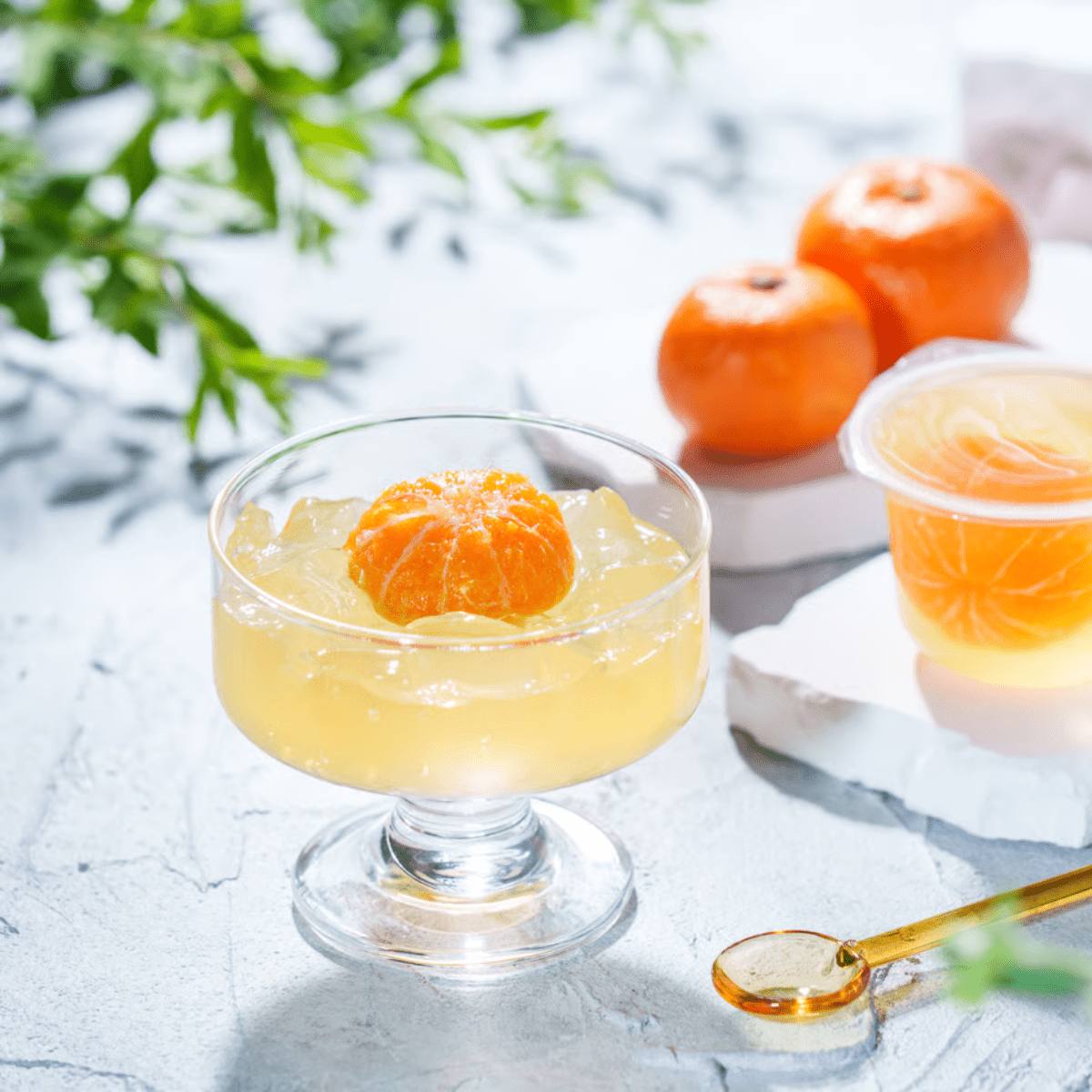 Wakayama Whole Mikan Jelly - Tokyo Fresh Direct