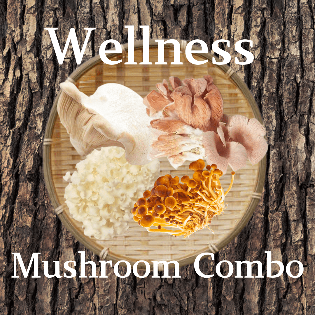 Wellness Mushroom Combo [Delivery between 7th~15th Mar] - Nagano Fair 2025 - Tokyo Fresh Direct