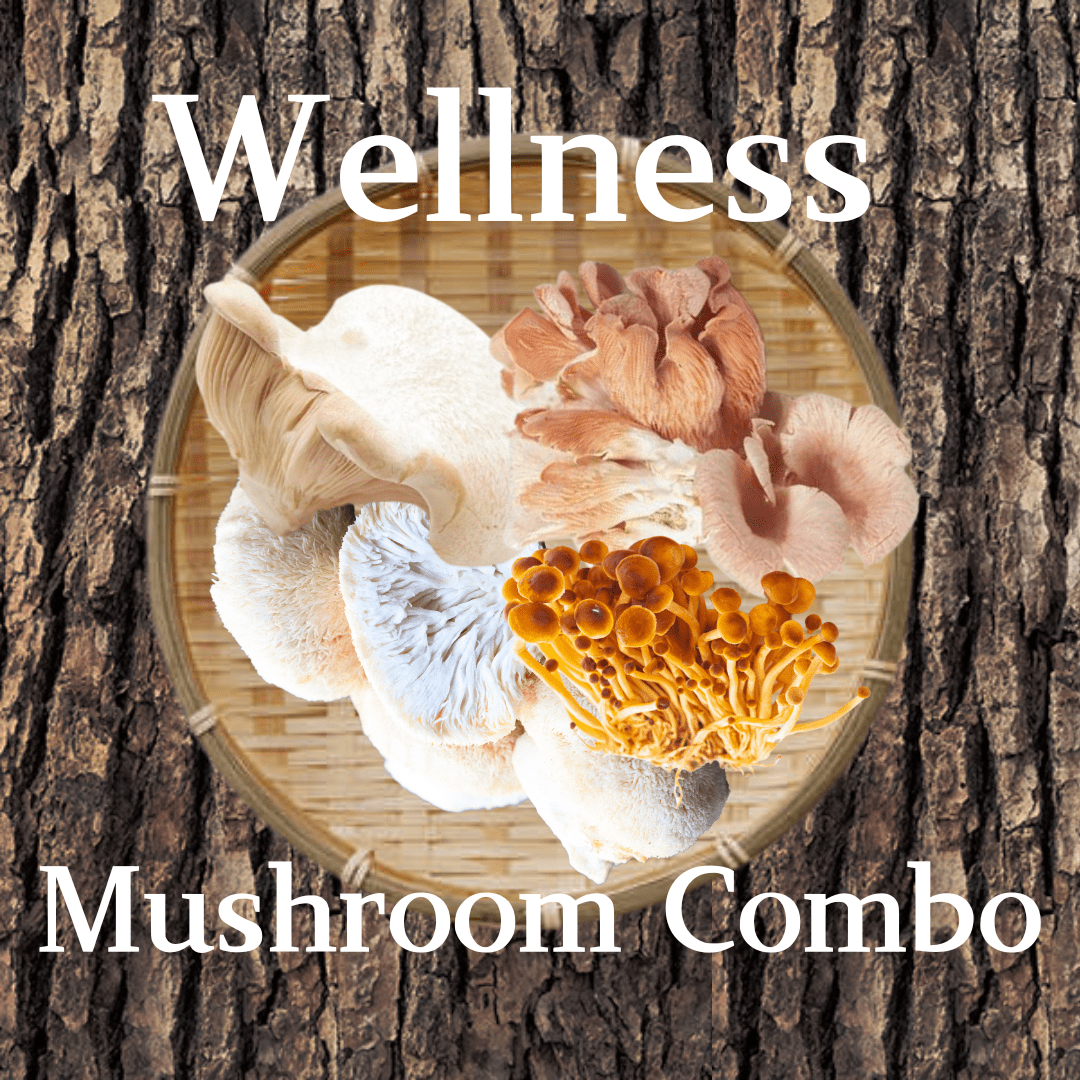 Wellness Mushroom Combo [Delivery between 7th~15th Mar] - Nagano Fair 2025 - Tokyo Fresh Direct