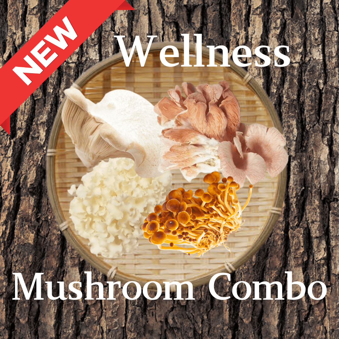 Wellness Mushroom Combo [Delivery between 7th~8th Mar] - Nagano Fair 2025 - Tokyo Fresh Direct