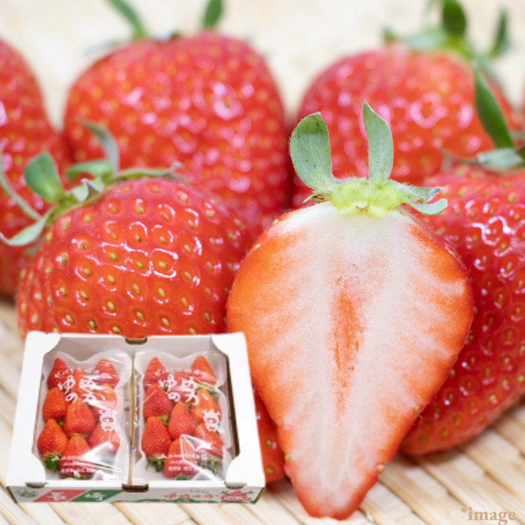 "Yumenoka (High Grade)", A High - Brix strawberry with a gentle, well - balanced acidity, Approx.500g(2packs) | Delivery: 20th - 21st Feb - TFD (Tokyo Fresh Direct)