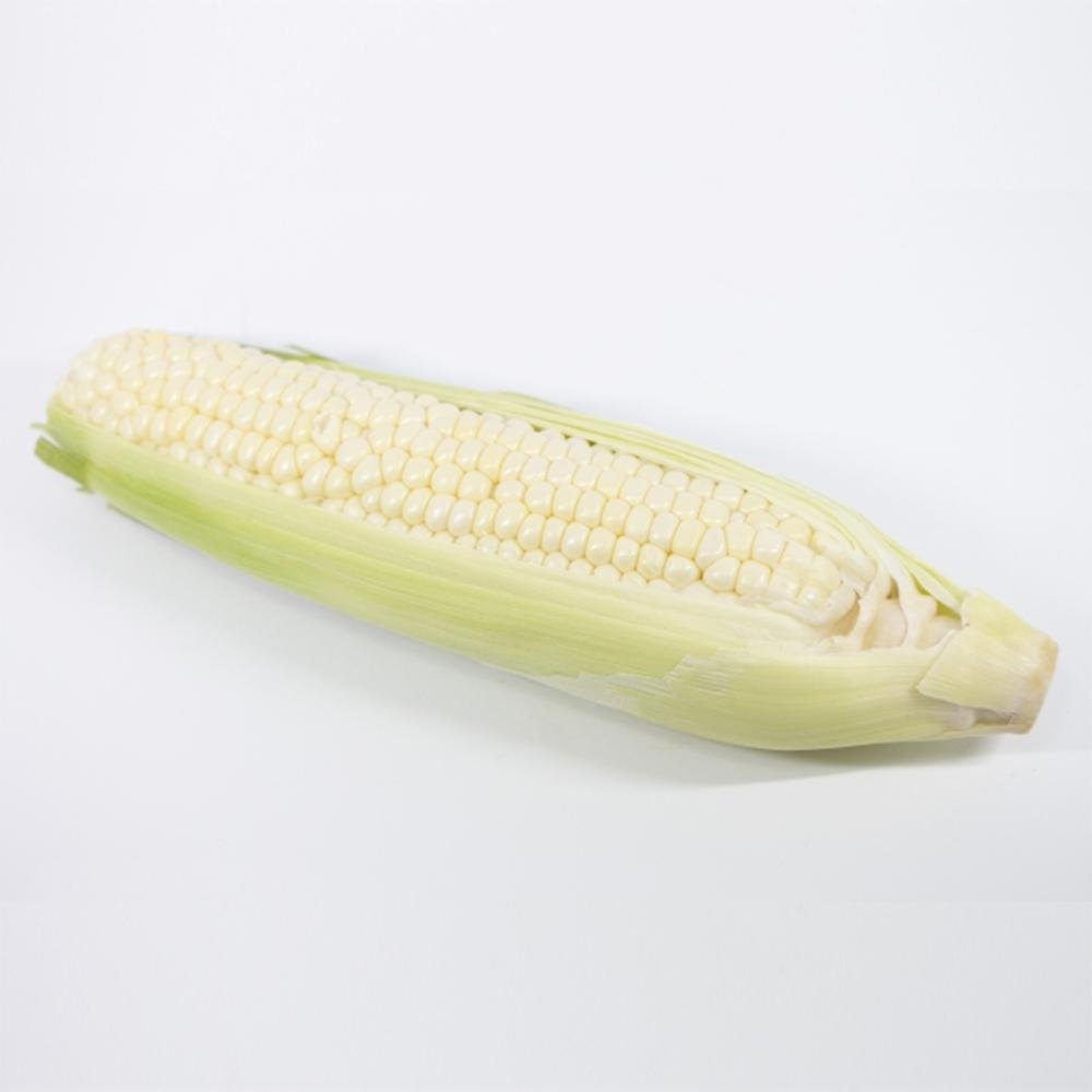 White Corn