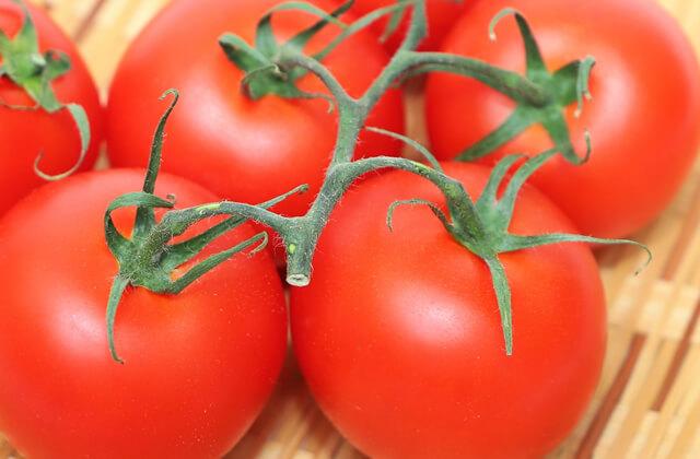 Midi-tomato (with tuft)
