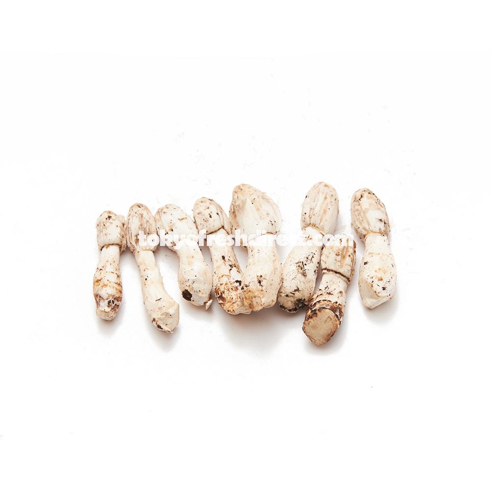 Coprinu Take (coprinus mushroom) - Tokyo Fresh Direct