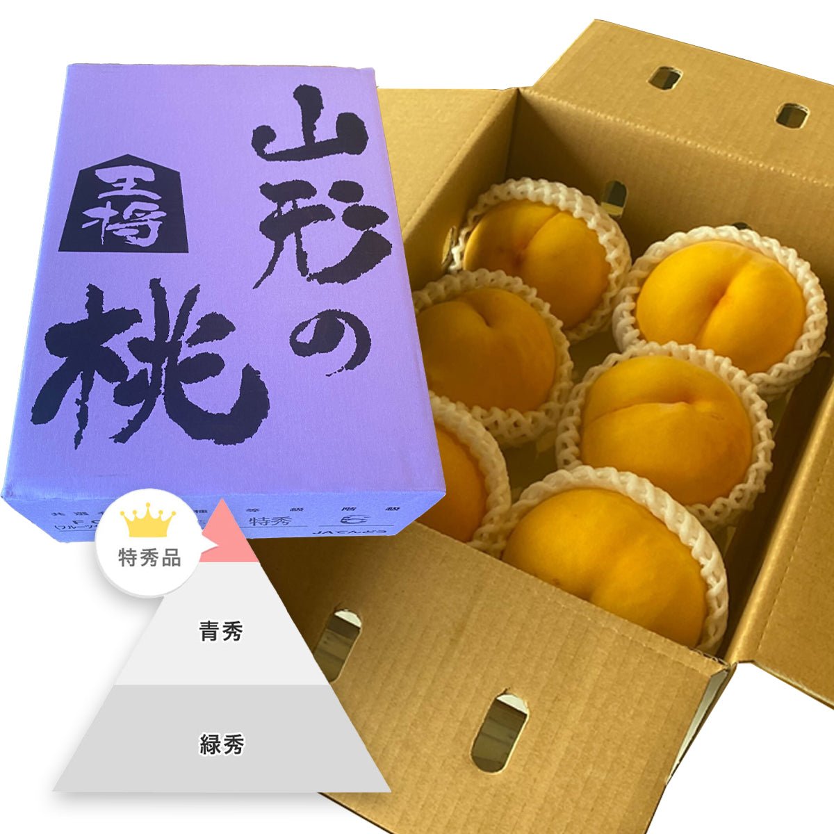 <Delivery on 25th-26th> Yamagata Golden Peach (黄金桃) - Tokyo Fresh Direct