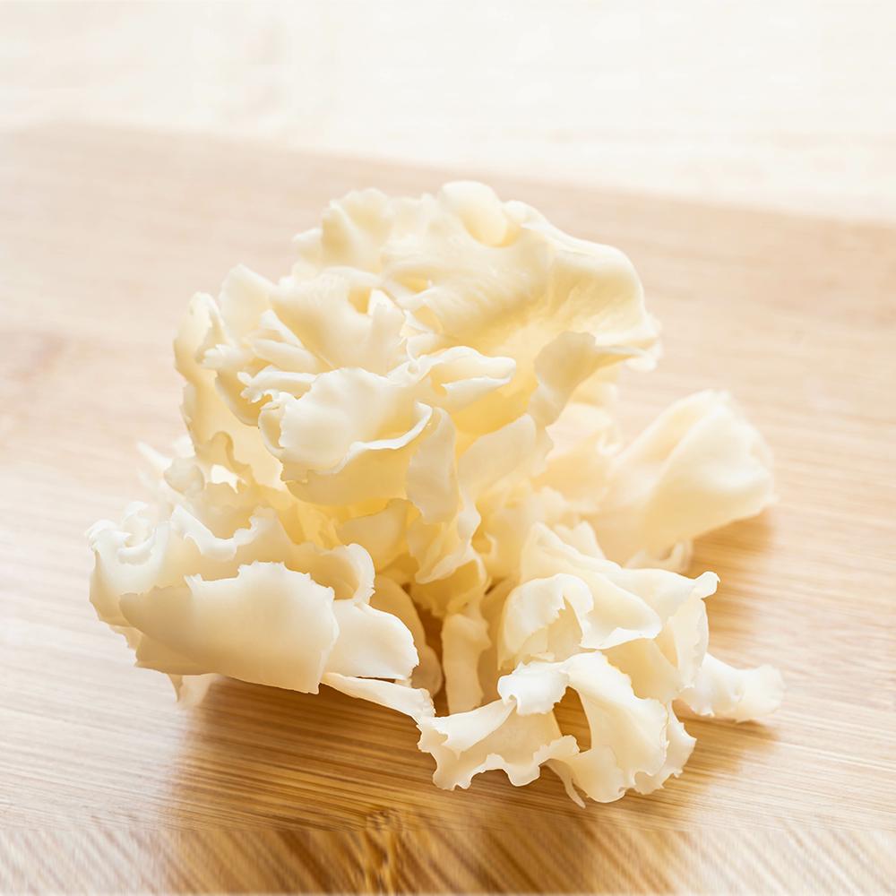 Hanabira-take (Wood Cauliflower Mushroom) - Tokyo Fresh Direct