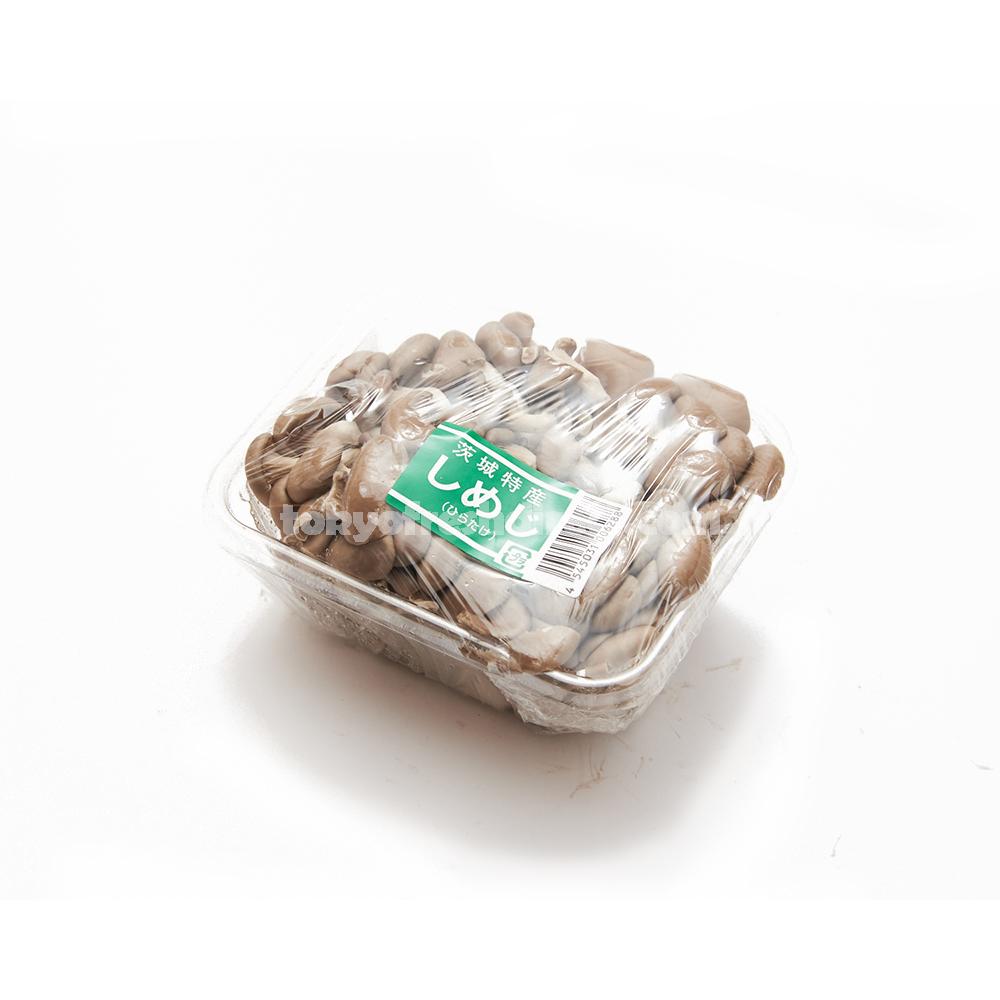 Hiratake (Oyster Mushroom) - Tokyo Fresh Direct