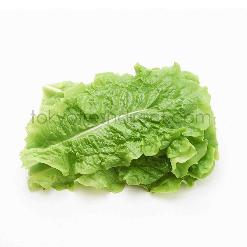 Korean lettuce - Tokyo Fresh Direct