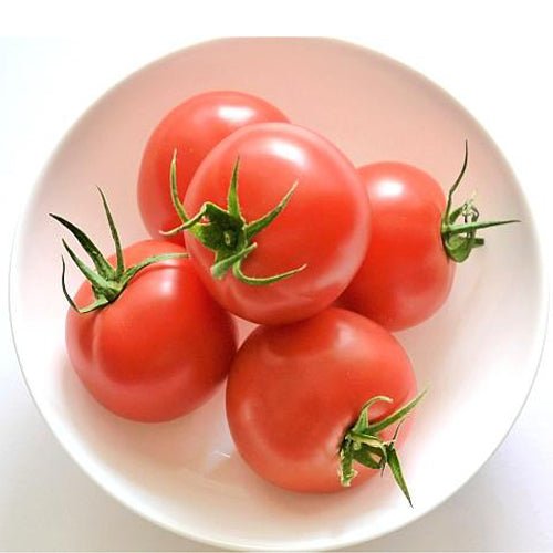 Midi-tomato - Tokyo Fresh Direct