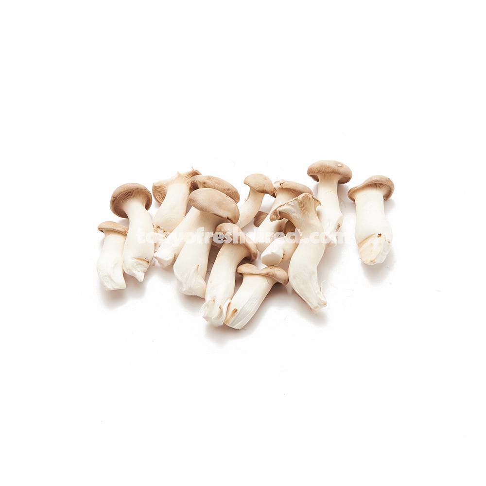 Mini Eryngii Mushroom - Tokyo Fresh Direct