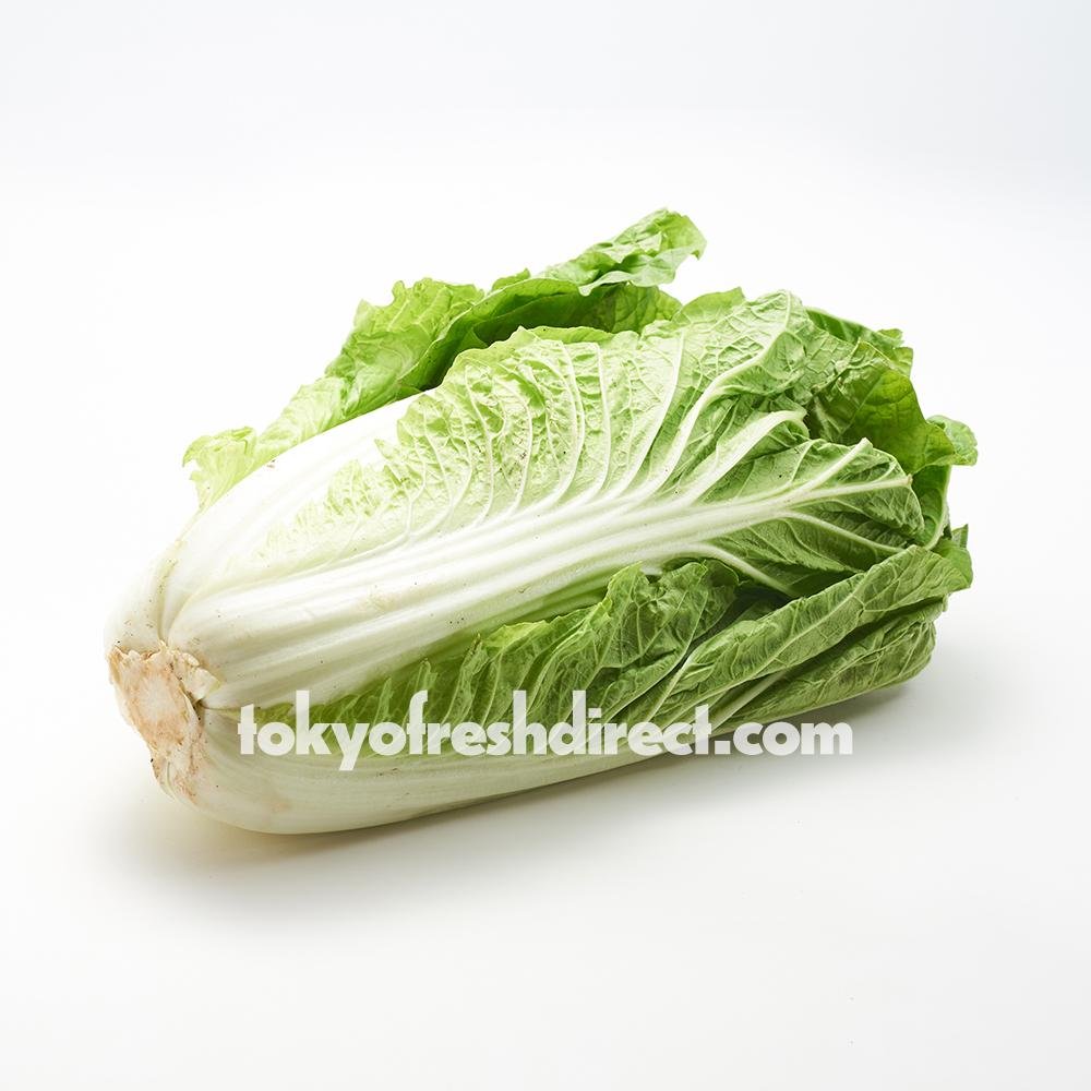 Mini Hakusai (Small Chinese Cabbage) - Tokyo Fresh Direct