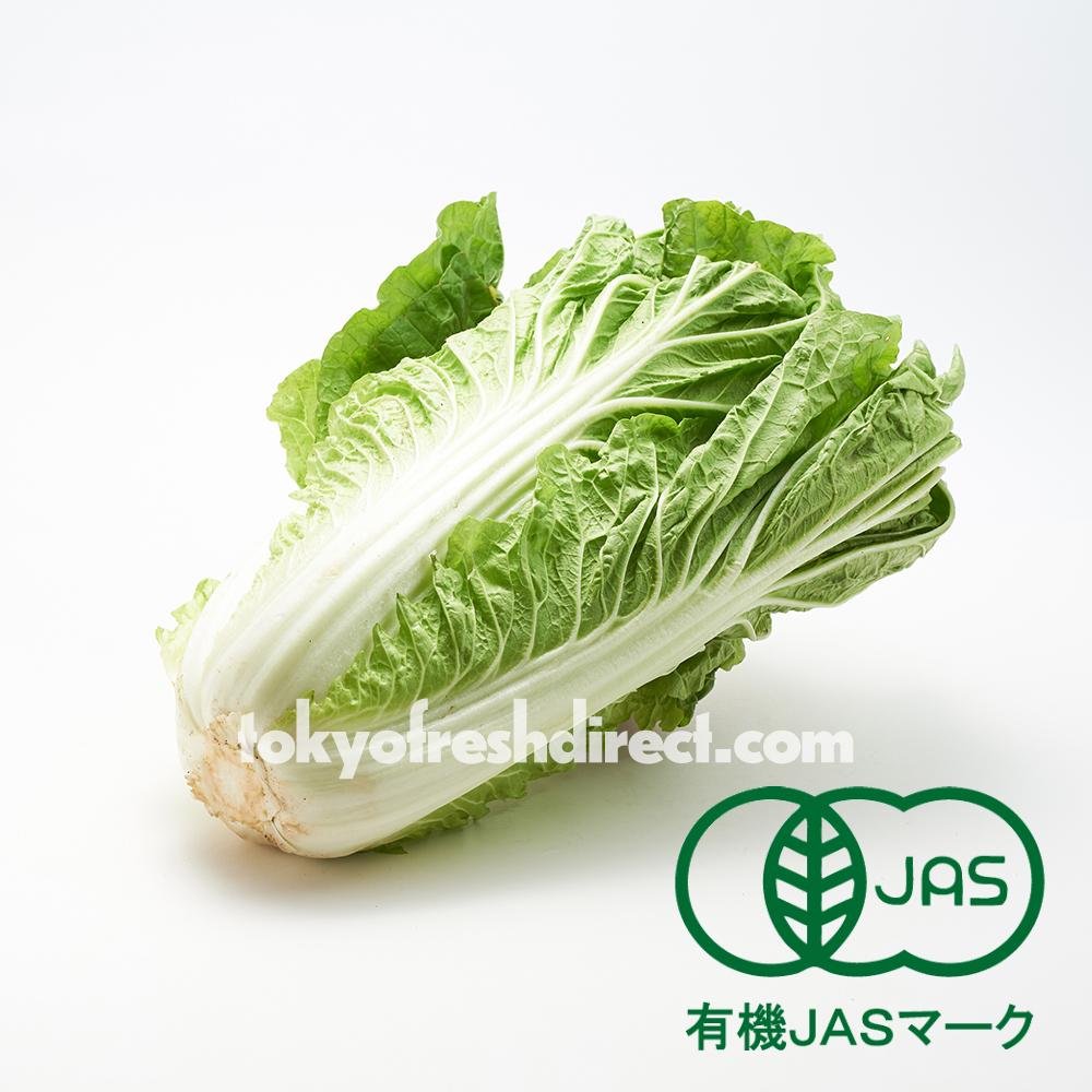 Organic Mini Hakusai (Small Chinese Cabbage) - Tokyo Fresh Direct