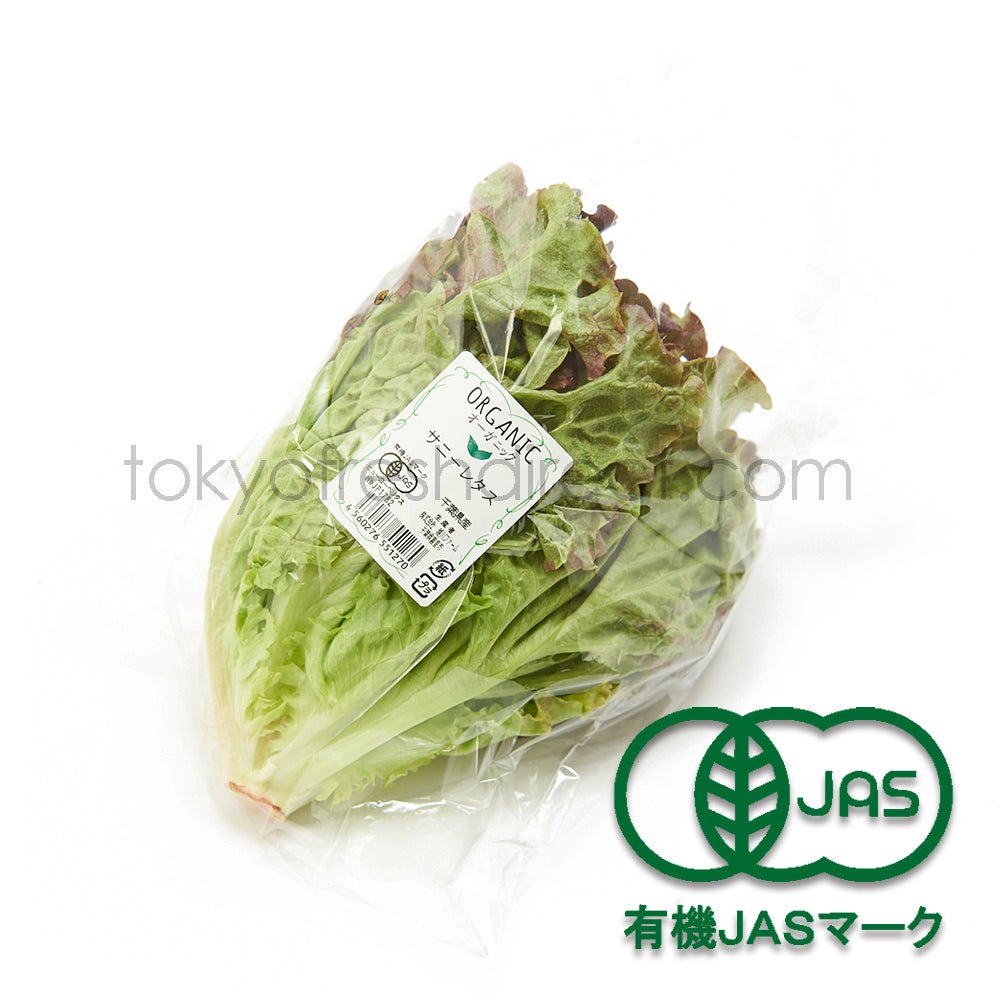 Organic Sunny Lettuce - Tokyo Fresh Direct