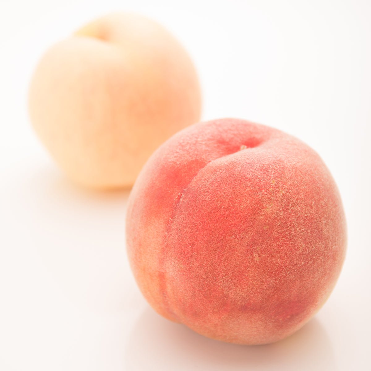 PRE-ORDER| Japanese Peach 5PC - Tokyo Fresh Direct