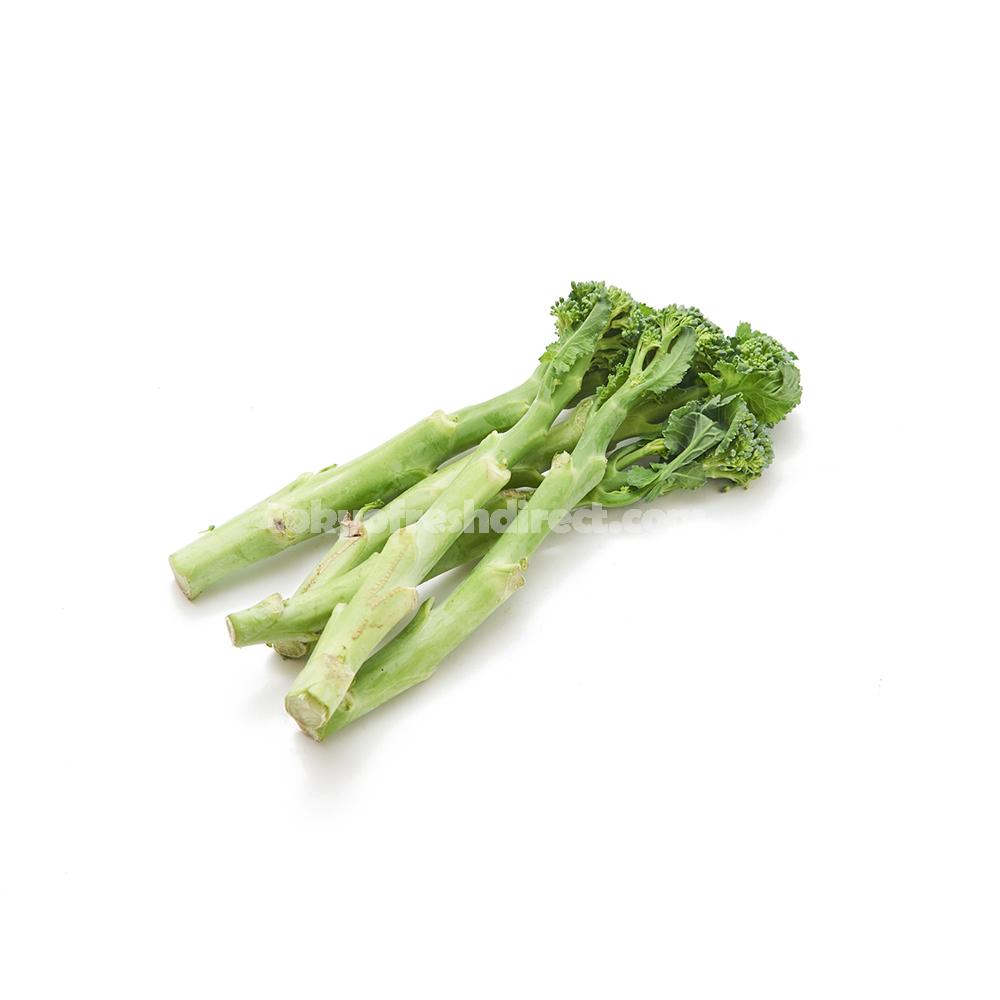 Stick Broccoli (Stick Senor) - Tokyo Fresh Direct