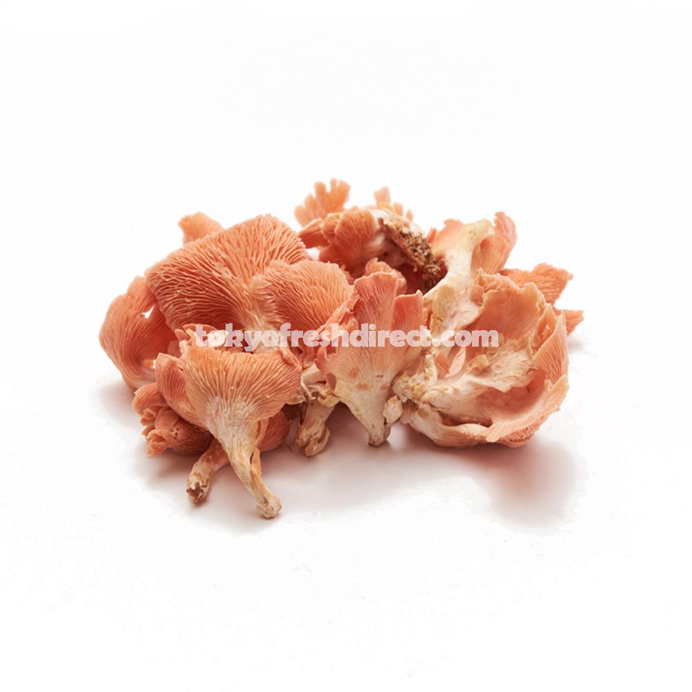 Toki-iro Hiratake (oyster mushroom) - Tokyo Fresh Direct