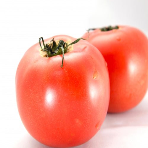 Tomato-fruit eggplant - Tokyo Fresh Direct