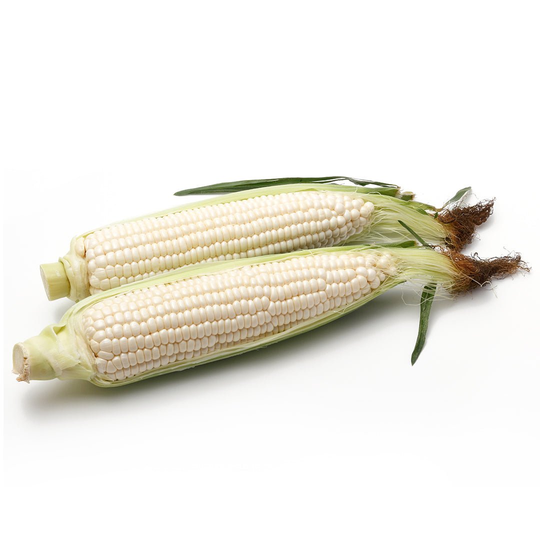 White Corn - Tokyo Fresh Direct